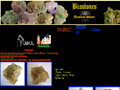 Brastones - collection minerals